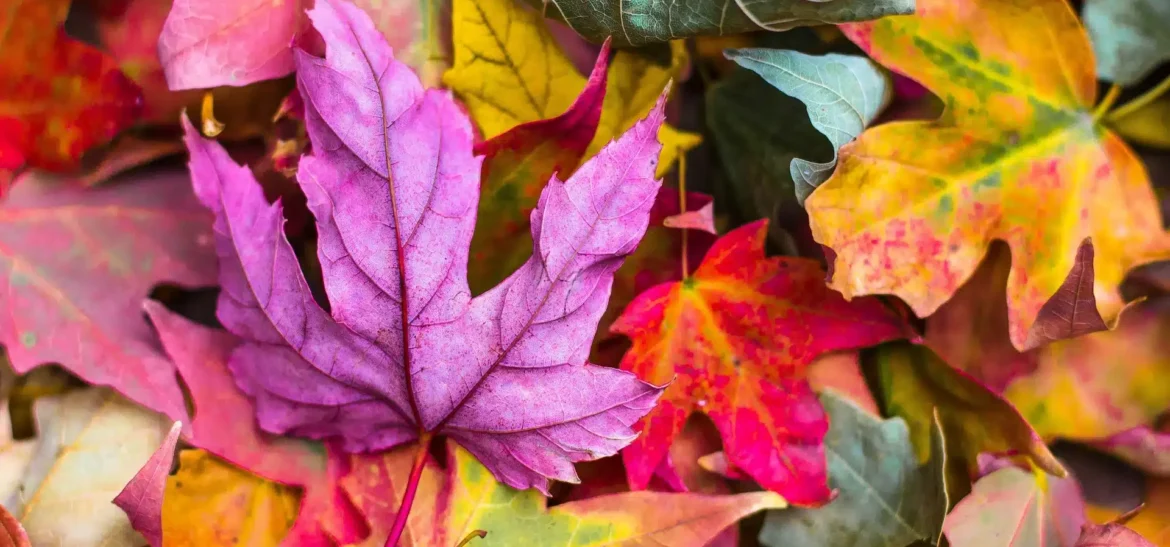 NOW Is the Perfect Time for a Brand Audit
